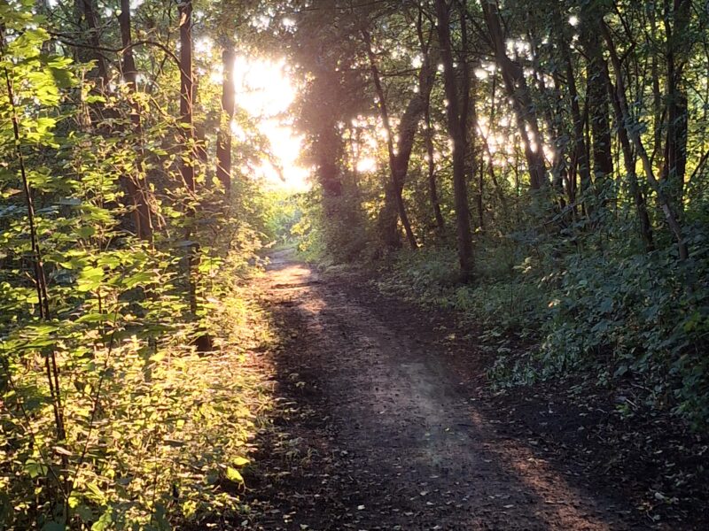 Christin Reimann, Pferdegestütztes Coaching & Coaching in der Natur