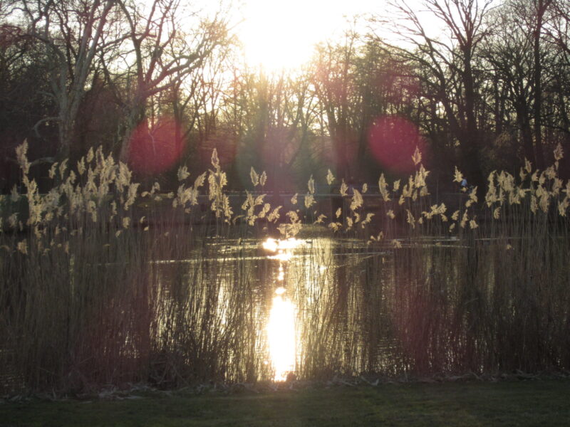 Christin Reimann, Pferdegestütztes Coaching & Coaching in der Natur